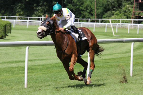 A Guide to Gloucestershire during Cheltenham Gold Cup 2023