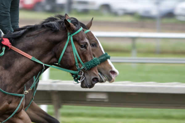 Cheltenham Racecourse